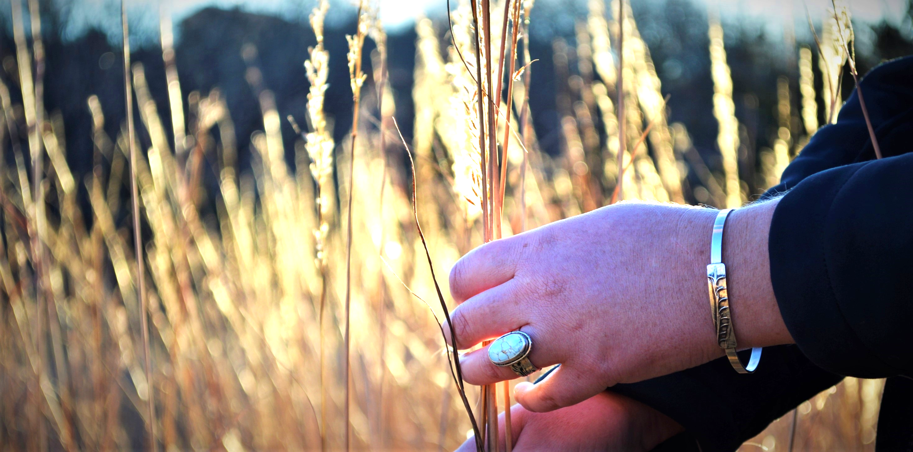 Hands with silver turquoise ring and silver little bluestem bracelet touching prairie indiangrass