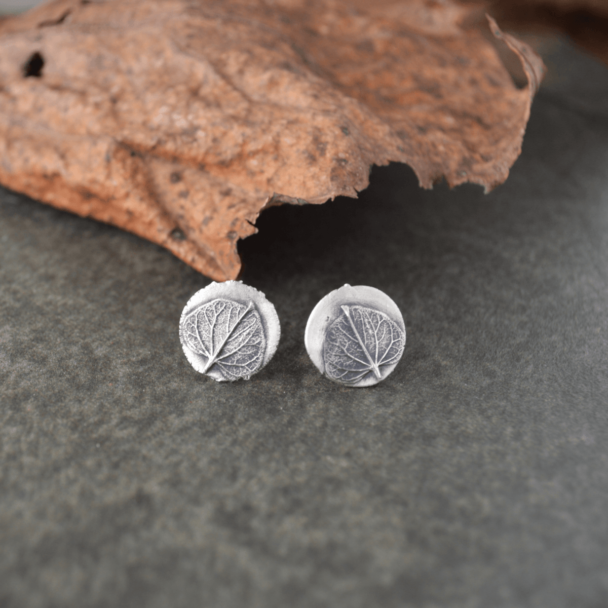 Redbud Leaf Stud Earrings in Fine Silver - Gayle Dowell