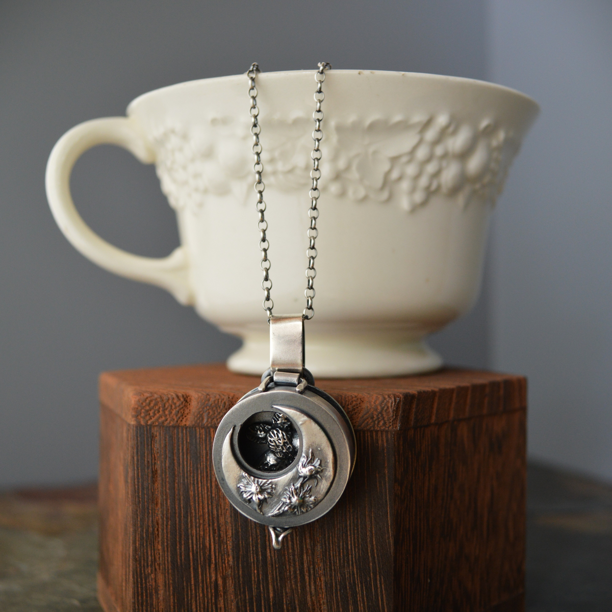 Silver Aster Moon and Moth Locket Necklace