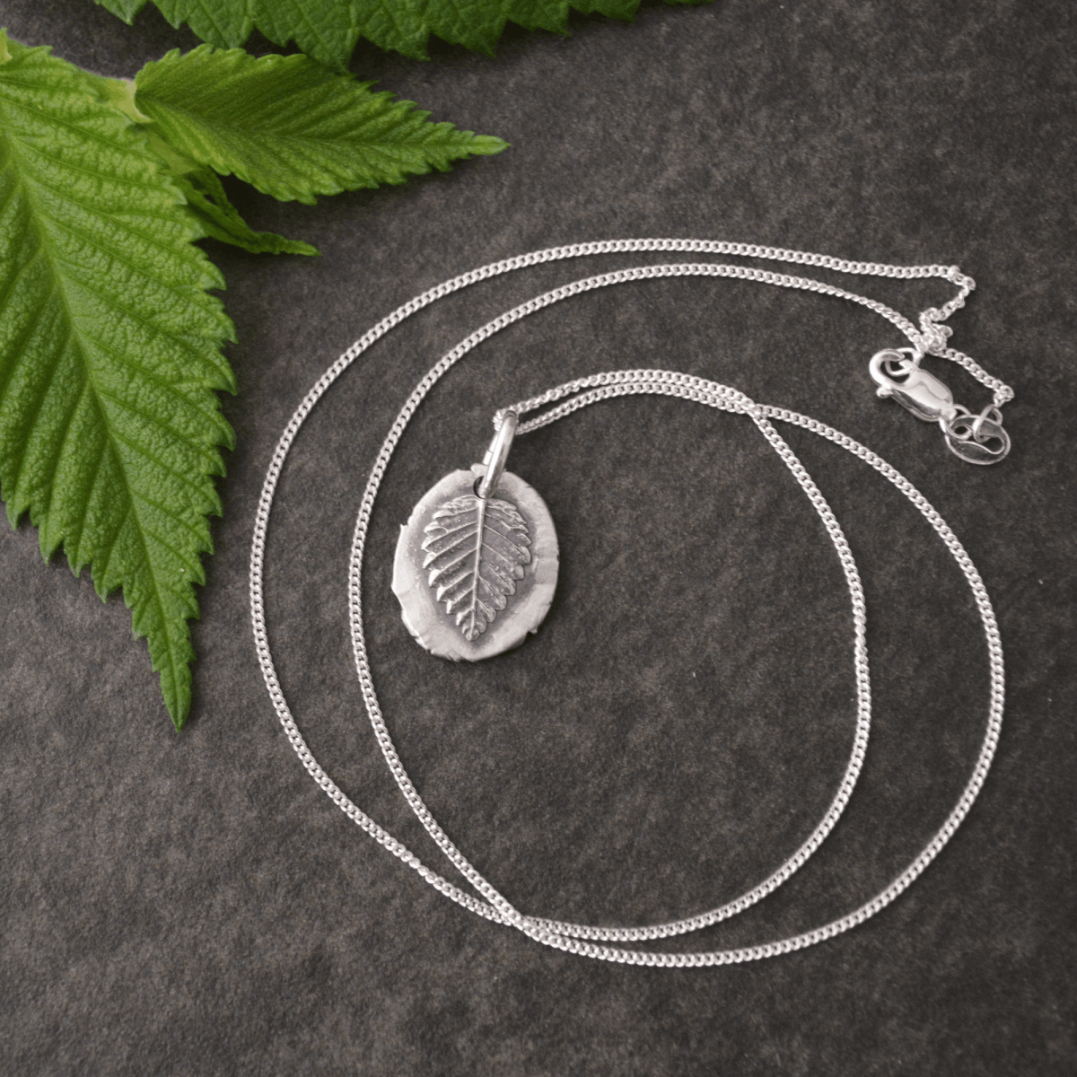 Elm Leaf Pendant Necklace in Fine Silver - Gayle Dowell